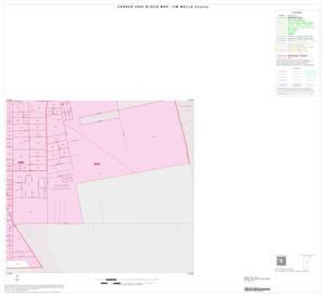 2000 Census County Block Map: Jim Wells County, Inset D04