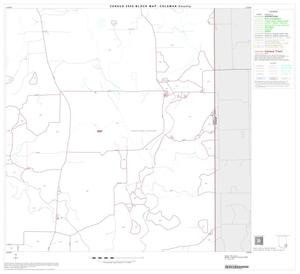 2000 Census County Block Map: Coleman County, Block 20