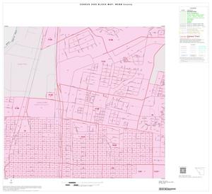 2000 Census County Block Map: Webb County, Inset B08
