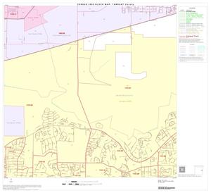 2000 Census County Block Map: Tarrant County, Block 49
