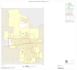 2000 Census County Block Map: Medina County, Inset A01