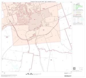 2000 Census County Block Map: Williamson County, Block 55