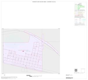 2000 Census County Block Map: Carson County, Inset D01