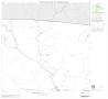 Map: 2000 Census County Block Map: Bandera County, Block 3