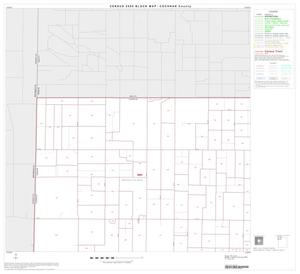 Primary view of object titled '2000 Census County Block Map: Cochran County, Block 1'.