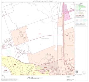 2000 Census County Block Map: Williamson County, Block 51