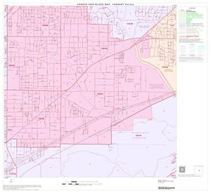 2000 Census County Block Map: Tarrant County, Block 46