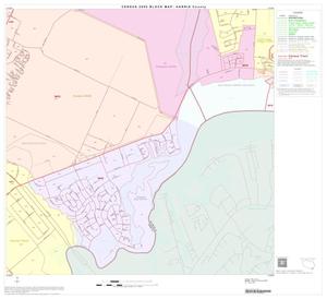 2000 Census County Block Map: Harris County, Block 204