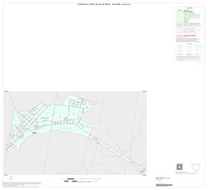 2000 Census County Block Map: Starr County, Inset E01