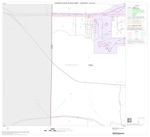 2000 Census County Block Map: Tarrant County, Block 61