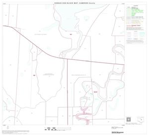 2000 Census County Block Map: Cameron County, Block 31