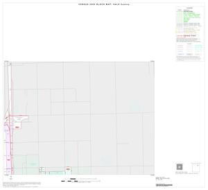 Primary view of object titled '2000 Census County Block Map: Hale County, Inset B02'.