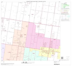2000 Census County Block Map: Hidalgo County, Block 57