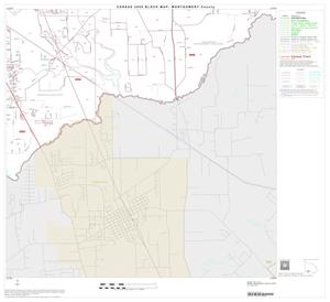 2000 Census County Block Map: Montgomery County, Block 41