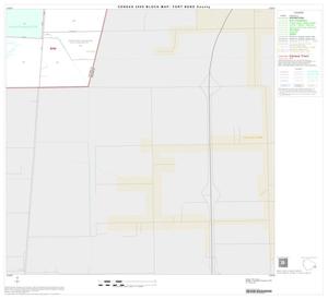 2000 Census County Block Map: Fort Bend County, Block 49