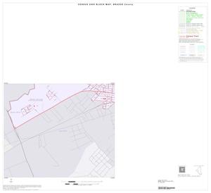 2000 Census County Block Map: Brazos County, Inset B03