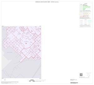 2000 Census County Block Map: Hays County, Inset D03