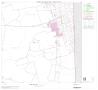 Thumbnail image of item number 1 in: '2000 Census County Block Map: Crane County, Block 9'.
