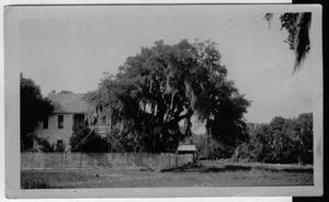 [Home and property of A.Hartman, Cuero, Texas]