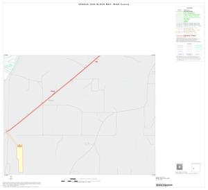 2000 Census County Block Map: Wise County, Inset F03