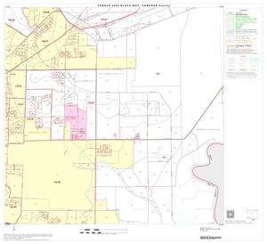 2000 Census County Block Map: Cameron County, Block 67