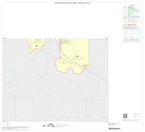 2000 Census County Block Map: Wise County, Inset F04