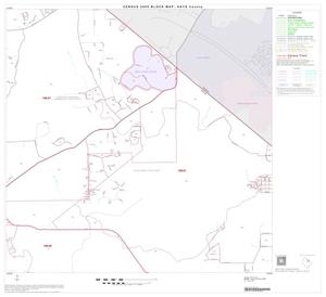 2000 Census County Block Map: Hays County, Block 9