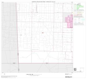2000 Census County Block Map: Hockley County, Block 13
