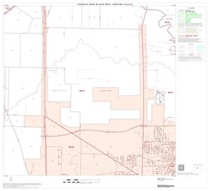 2000 Census County Block Map: Denton County, Block 20
