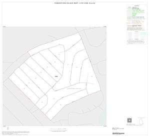 Primary view of object titled '2000 Census County Block Map: Live Oak County, Inset C01'.