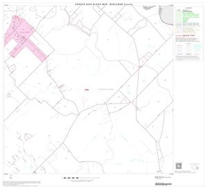 2000 Census County Block Map: Burleson County, Block 13