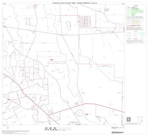 2000 Census County Block Map: Montgomery County, Block 28