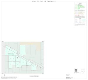2000 Census County Block Map: Cameron County, Inset A01