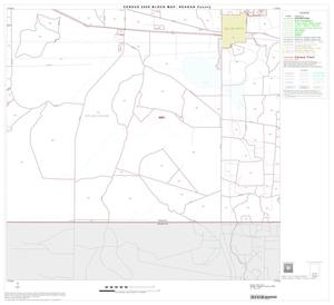 2000 Census County Block Map: Reagan County, Block 11