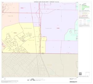 2000 Census County Block Map: Tarrant County, Block 95
