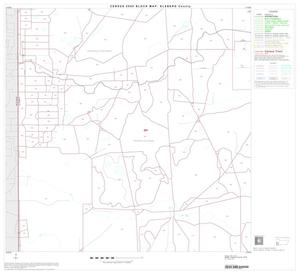 2000 Census County Block Map: Kleberg County, Block 13