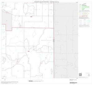 2000 Census County Block Map: Concho County, Block 6