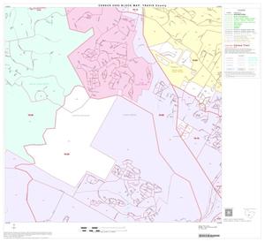 2000 Census County Block Map: Travis County, Block 61
