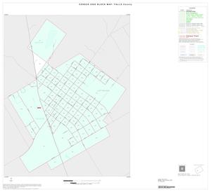 2000 Census County Block Map: Falls County, Inset B01