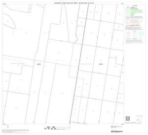 2000 Census County Block Map: Hidalgo County, Block 46
