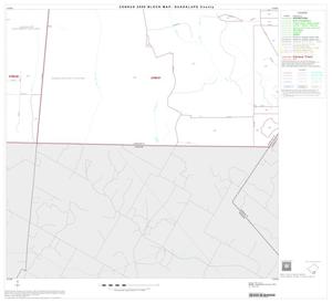2000 Census County Block Map: Guadalupe County, Block 21