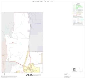 2000 Census County Block Map: Wise County, Inset I01