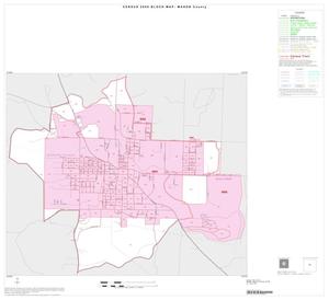 2000 Census County Block Map: Mason County, Inset A01