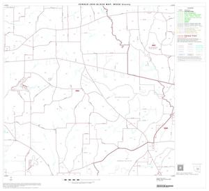 2000 Census County Block Map: Wood County, Block 11