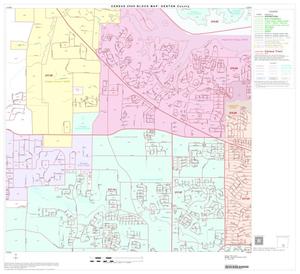 2000 Census County Block Map: Denton County, Block 45