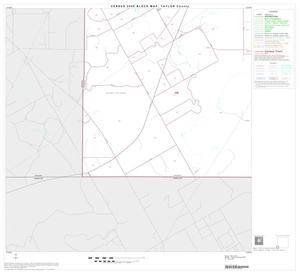 2000 Census County Block Map: Taylor County, Block 21