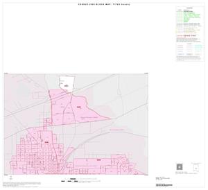 2000 Census County Block Map: Titus County, Inset B01
