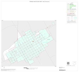 2000 Census County Block Map: Falls County, Inset C01