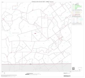 2000 Census County Block Map: Dimmit County, Block 10