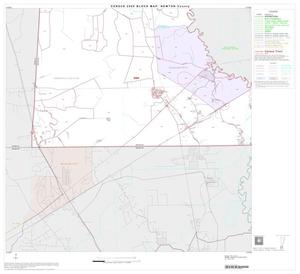 2000 Census County Block Map: Newton County, Block 11